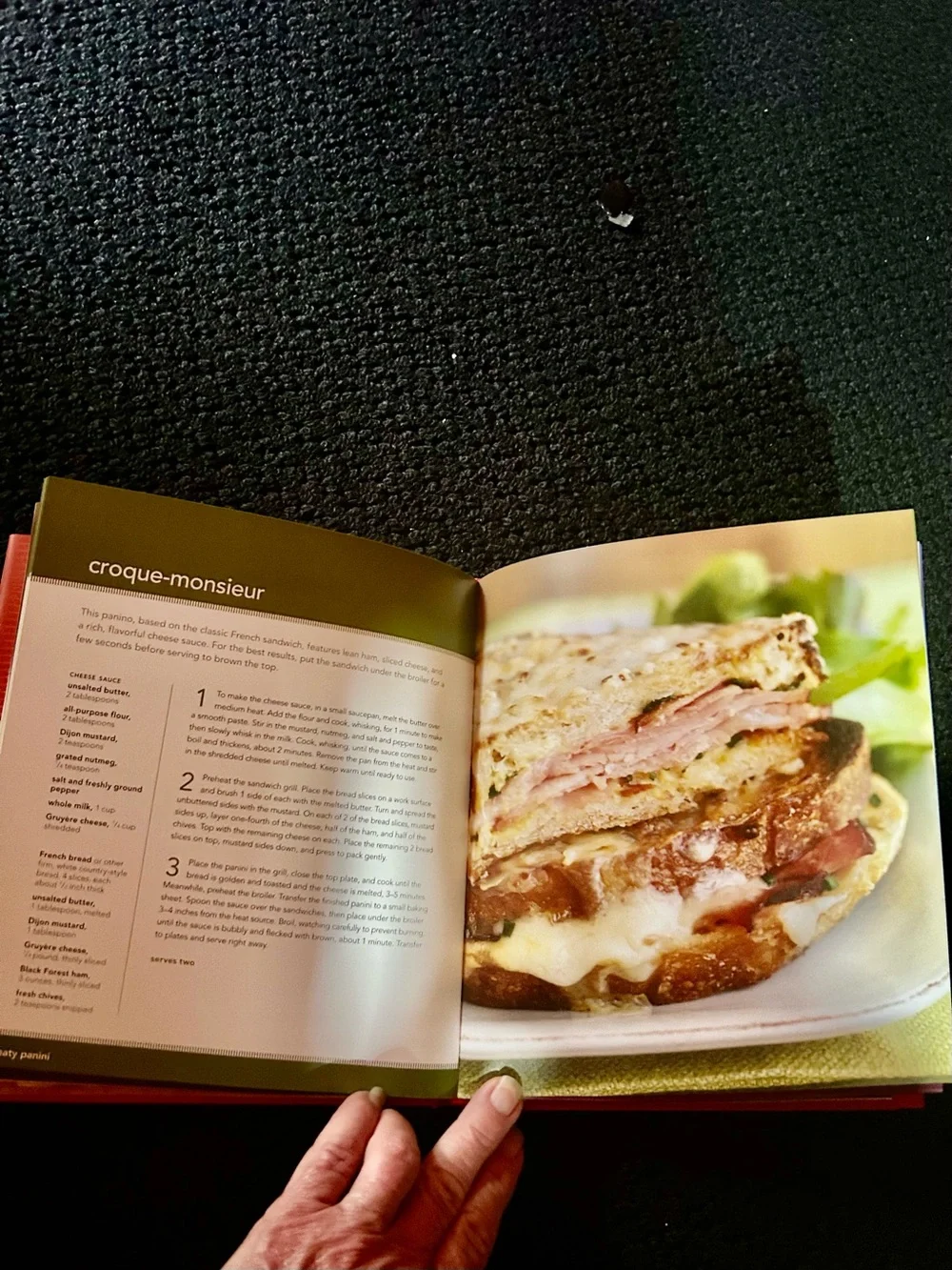 Panini Cookbook / Yummy Recipes with Beautiful Photography